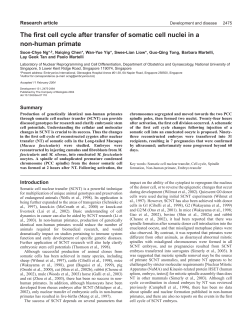 The first cell cycle after transfer of somatic cell nuclei