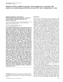 Induction of DNA synthesis in primary mouse