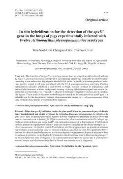 In situ hybridization for the detection of the apxIV