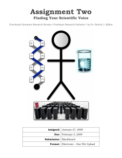 course_materials_-_spring_2009_files/Assignment Two