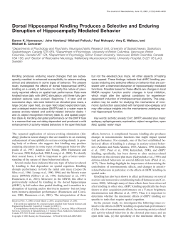 Dorsal Hippocampal Kindling Produces a