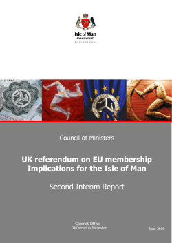 Second Interim Report - Isle of Man Government