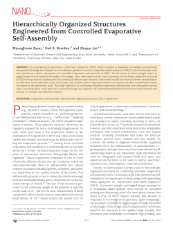 Hierarchically Organized Structures Engineered from Controlled