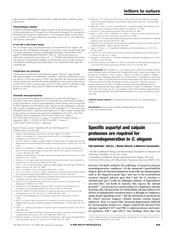Specific aspartyl and calpain proteases are