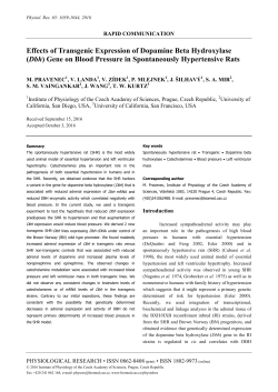 Effects of Transgenic Expression of Dopamine Beta Hydroxylase