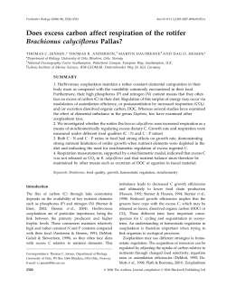 Does excess carbon affect respiration of the rotifer Brachionus
