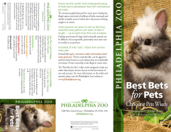 Best Bets for Pets
