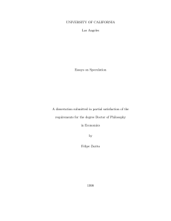 Essays on Speculation - David Levine`s Economic and Game