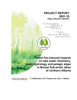 PROJECT REPORT 2001-19 Forest fire