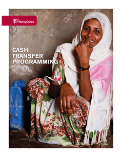 CASH TRANSFER PROGRAMMING toolkit