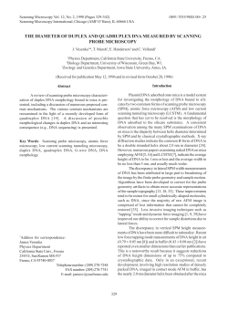 THE DIAMETER OF DUPLEX AND QUADRUPLEX DNA