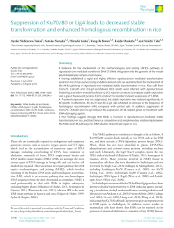 Suppression of Ku70/80 or Lig4 leads to decreased stable