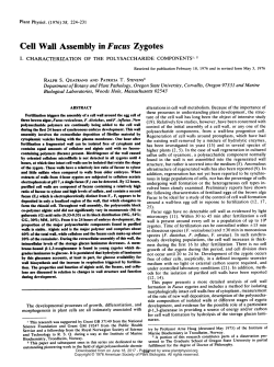 Cell Wall Assembly in Fucus Zygotes