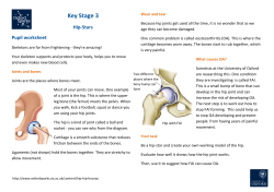 Key Stage 3 - Oxford Sparks