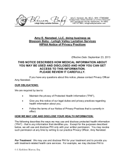 Amy E. Nansteel, LLC, doing business as Blossom Baby