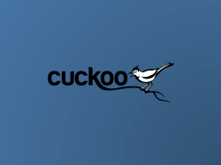 D1T1 - Claudio Guarnieri - One Flew Over the Cuckoos Nest