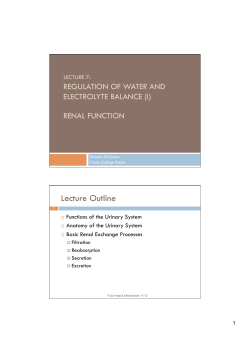 Lecture 7 - Trinity College Dublin