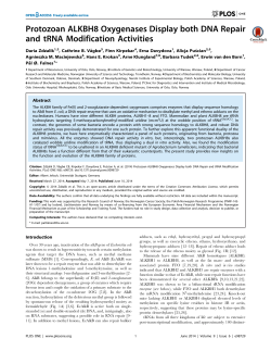 Protozoan ALKBH8 Oxygenases Display both DNA Repair and