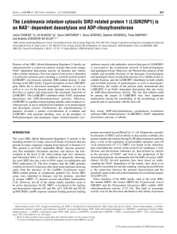 The Leishmania infantum cytosolic SIR2