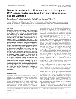 Bacterial protein HU dictates the morphology of DNA condensates