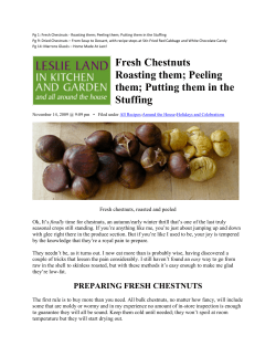 Fresh Chestnuts - Roasting them