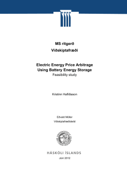 MS ritger&eth; Vi&eth;skiptafr&aelig;&eth;i Electric Energy Price Arbitrage
