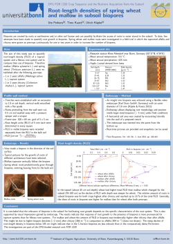 Root-length densities of spring wheat and mallow in subsoil biopores