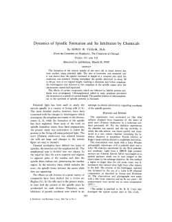Dynamics of Spindle Formation and Its Inhibition by