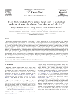 From prebiotic chemistry to cellular metabolism—The chemical