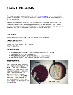 STARCH HYDROLYSIS