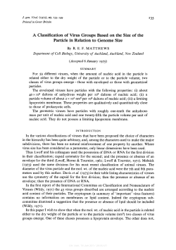 A Classification of Virus Groups Based on the Size of the Particle in