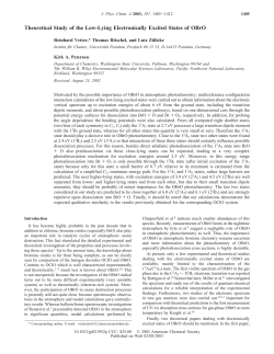 Theoretical Study of the Low-Lying Electronically Excited States of
