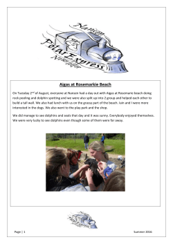 News letter 8 - Nansen Highland