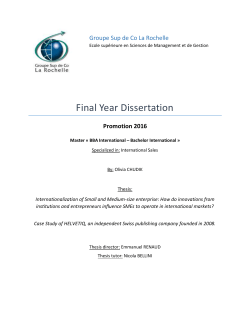 Final Year Dissertation