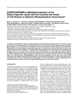 AUREOCHROME1a-Mediated Induction of the
