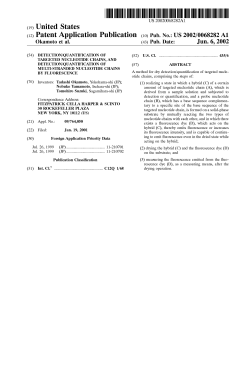Detection/quantification of targeted nucleotide chains, and detection