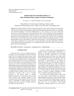 as a PDF