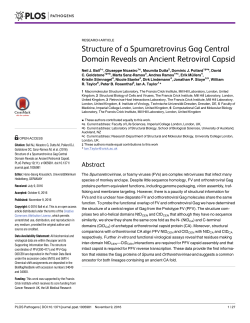 Structure of a Spumaretrovirus Gag Central Domain Reveals an