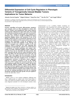 Differential Expression of Cell Cycle Regulators in Phenotypic