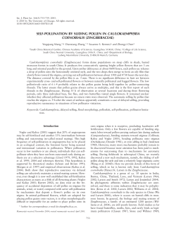 self-pollination by sliding pollen