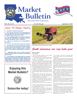 South Louisiana rice crop looks good