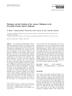Phylogeny and the Evolution of the Amylase Multigenes in the