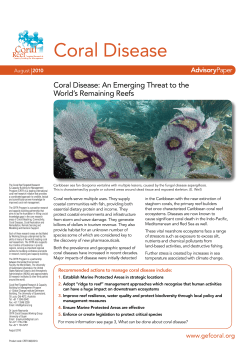 Coral disease: an emerging threat to the world`s remaining reefs