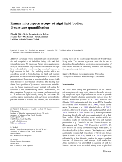 Raman microspectroscopy of algal lipid bodies: &beta;