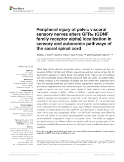 Peripheral injury of pelvic visceral sensory nerves alters GFR&alpha;