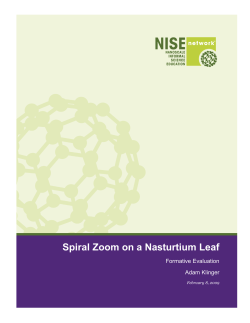 Spiral Zoom on a Nasturtium Leaf