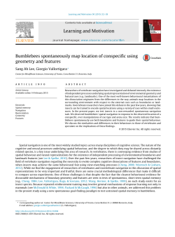Bumblebees spontaneously map location of conspecific using