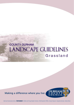 Grassland Landscape Guidelines 2009 (PDF