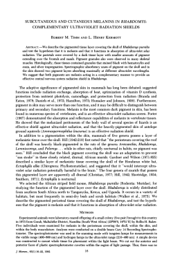 Subcutaneous and Cutaneous Melanins in Rhabdomys
