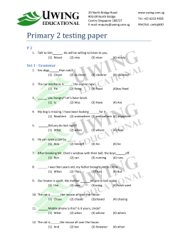 Primary 2 testing paper